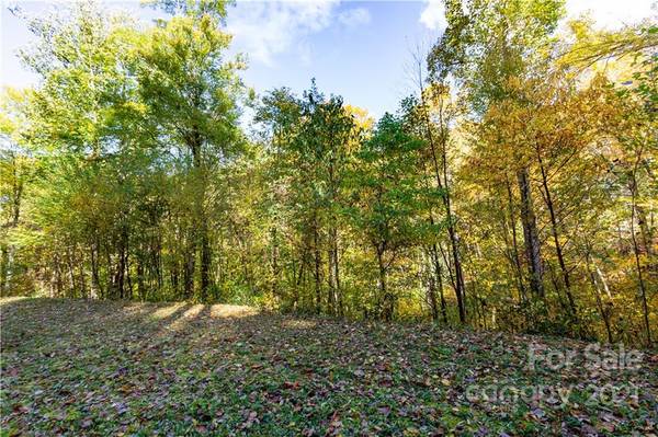 Lot 13 Black Rock RD #13, Qualla, NC 28719