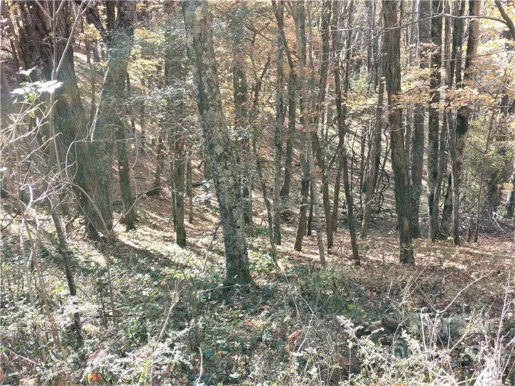 Mars Hill, NC 28754,Lots# 480 & 481 El Miner DR