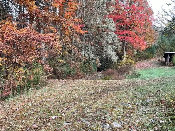 Balsam Grove, NC 28708,11 Brucene DR