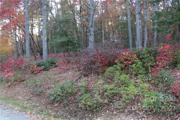 Cedar Mountain, NC 28718,L12 Marshall Lake RD #12