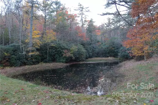Cedar Mountain, NC 28718,L12 Marshall Lake RD #12