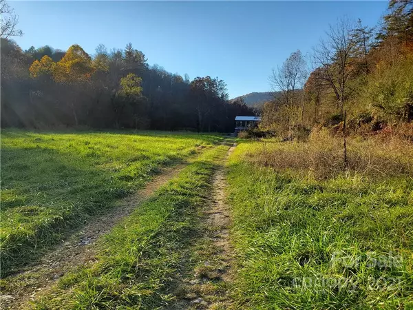 8554 Meadows Town RD, Marshall, NC 28753