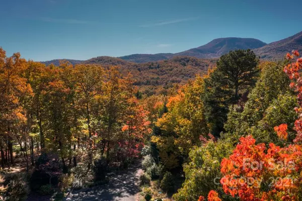 Tryon, NC 28782,1150 Carolina DR