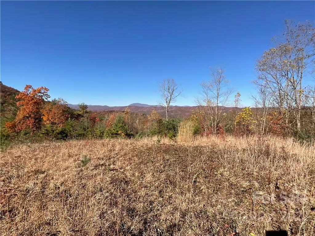 Brevard, NC 28712,lot 60 Peppervine CIR