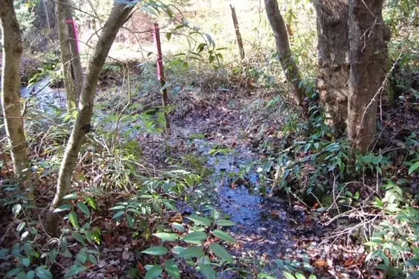 Cedar Mountain, NC 28718,1808 Solomon Jones RD