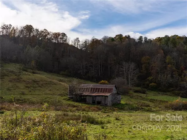 Clyde, NC 28721,12018 Betsys Gap RD