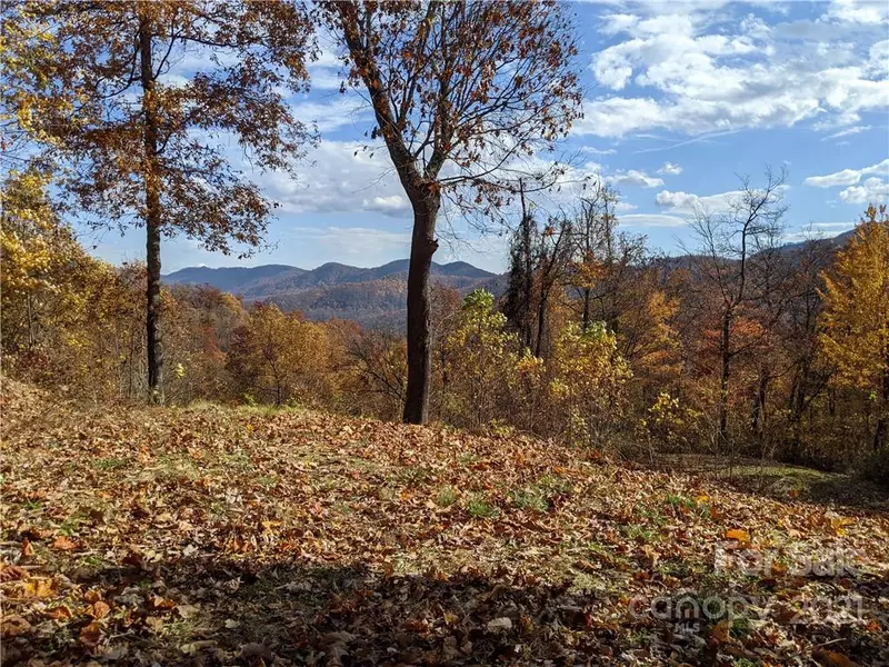 TBD Kestrel LN #T-75, Black Mountain, NC 28711