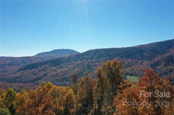 Black Mountain, NC 28711,499 Warbler LN #T-83