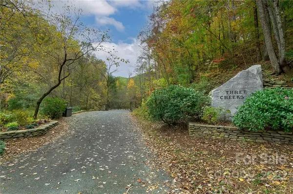 99999 Kalmia RD #19,  Lake Lure,  NC 28746
