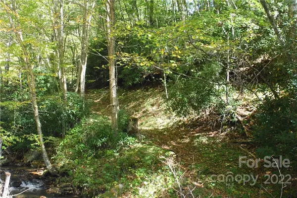 Marshall, NC 28753,444 Culvin Creek RD #46.42 ACRES