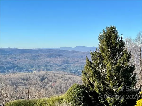 Laurel Park, NC 28739,1006 Fleetwood PLZ