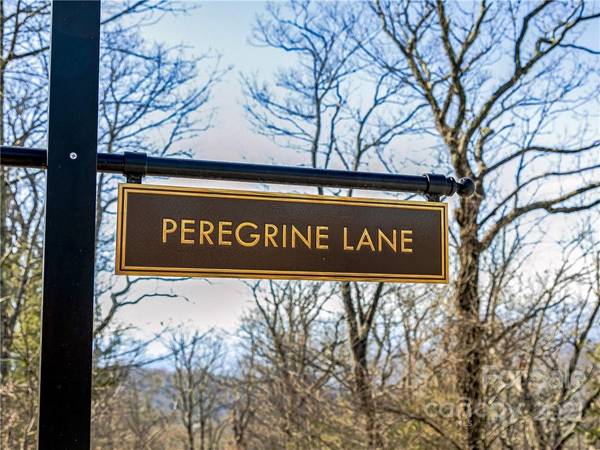 999 Peregrine LN #16, Asheville, NC 28804