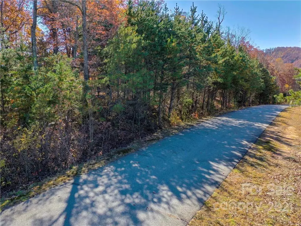 Mill Spring, NC 28756,LOT 275 Kincaid PL