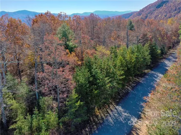 Mill Spring, NC 28756,LOT 275 Kincaid PL