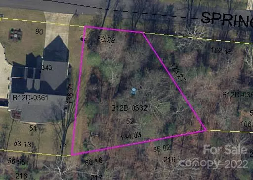 Taylorsville, NC 28681,Lot 52 WITTENBURG SPRINGS DR #052