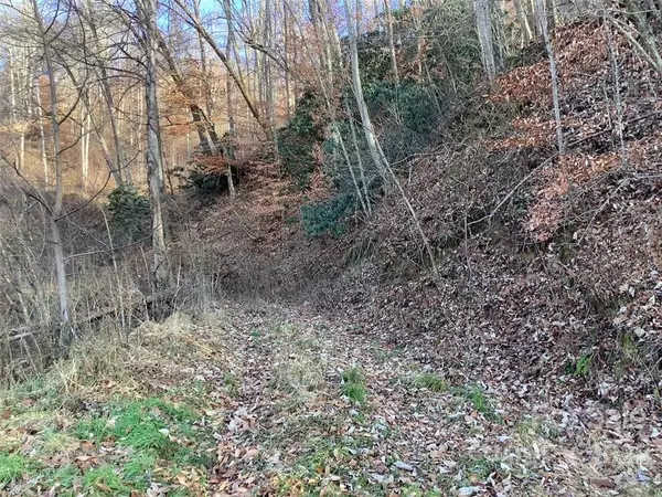 Mars Hill, NC 28754,00 Ponder Creek RD