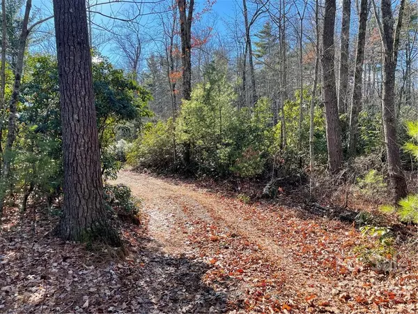 Sapphire, NC 28774,TR B-1 Upper Whitewater RD #TR B-1