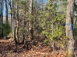 Sapphire, NC 28774,TR B-1 Upper Whitewater RD #TR B-1