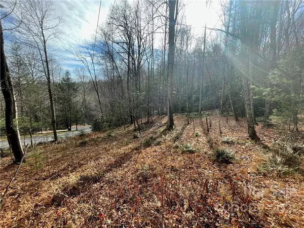 Pisgah Forest, NC 28768,TBD Pisgah Forest DR #Lot 7