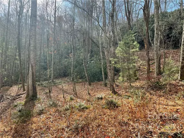 Pisgah Forest, NC 28768,TBD Pisgah Forest DR #Lot 7