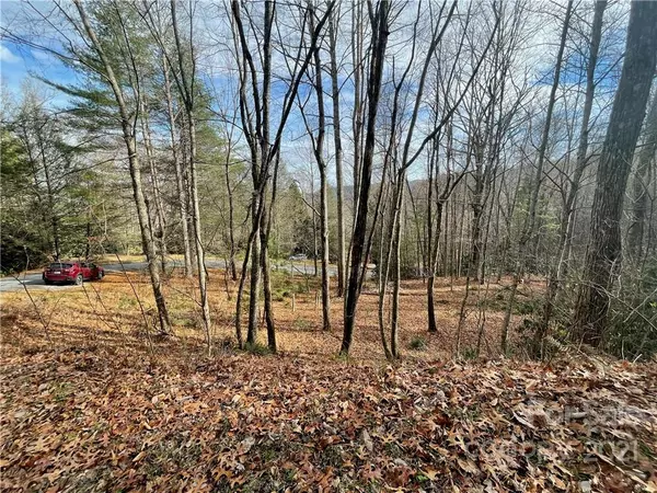 Pisgah Forest, NC 28768,TBD Pisgah Forest DR #Lot 7