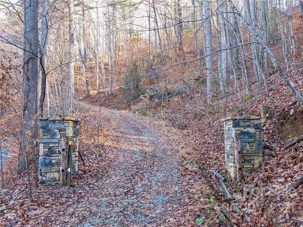 Weaverville, NC 28787,99999 Mundy Cove RD