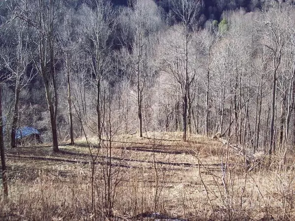 Marshall, NC 28753,1011 South Fork RD