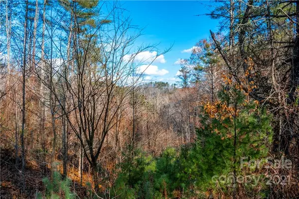 Marshall, NC 28753,5 Acres Mearwild DR #43B