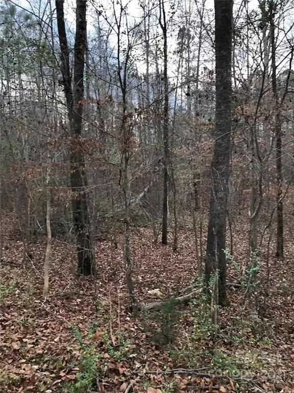 Wadesboro, NC 28170,00 Harrington RD