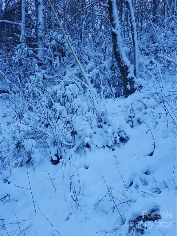 Boone, NC 28607,00 Stoney Brook LN