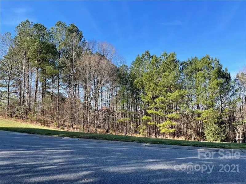 Lot 239 Verdict Ridge DR #239, Denver, NC 28037