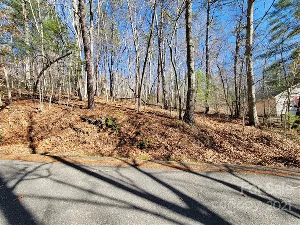 Waynesville, NC 28785,124 Sleepy Hollow DR