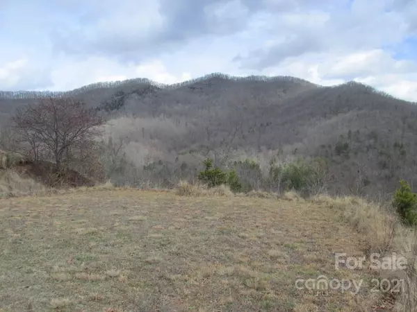 Cullowhee, NC 28723,Lot 4 Wild Top TRL