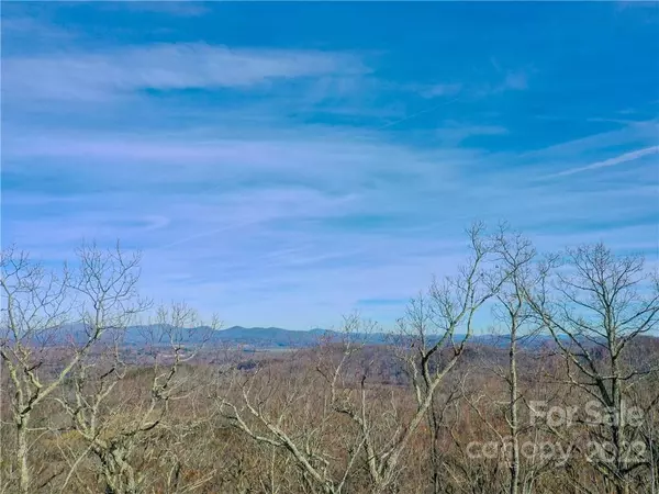 Horse Shoe, NC 28742,1114 Mills River WAY