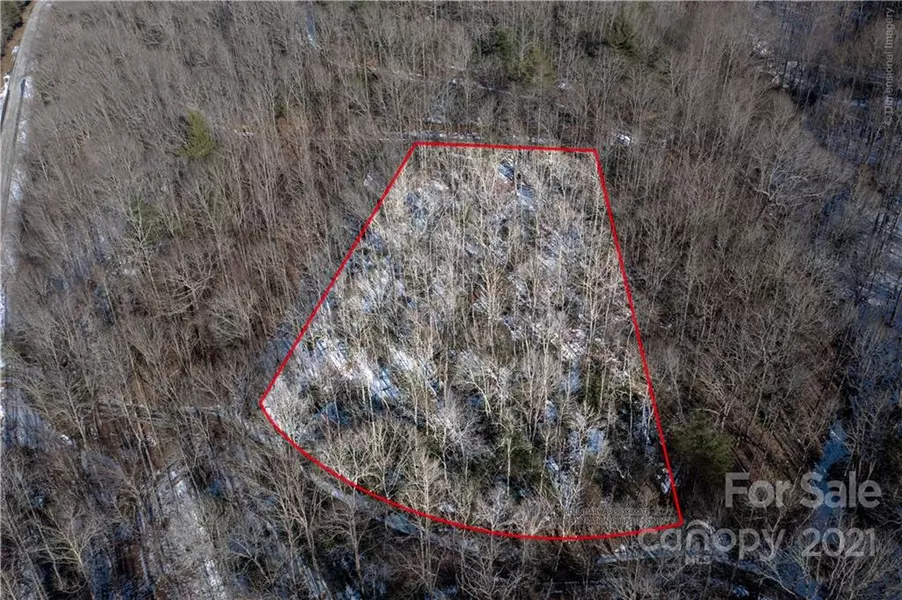 000 Grayson CT #26, Zirconia, NC 28790