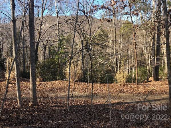 0 Wilderness RD #125, Lake Lure, NC 28746