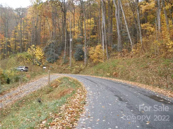 Maggie Valley, NC 28751,Lot 13 Dogwood DR