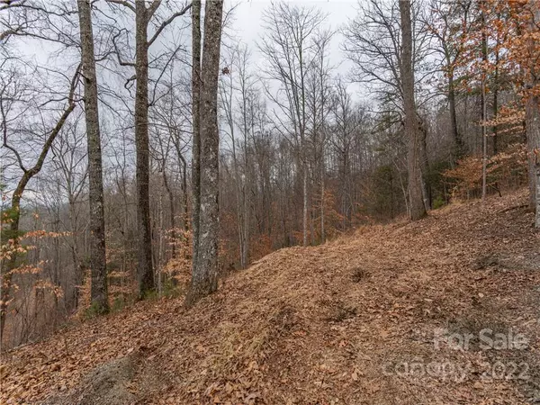 Mars Hill, NC 28754,189 Sandys Home PL #Lot 7B