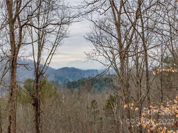 Mars Hill, NC 28754,189 Sandys Home PL #Lot 7B