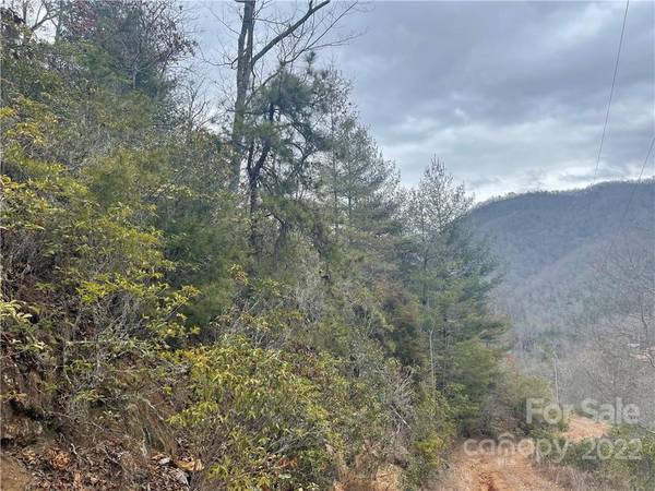 00 Brushy Fork RD #4, Sylva, NC 28779