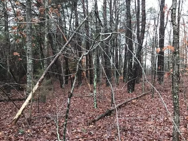 Bostic, NC 28018,356 Harrison RD