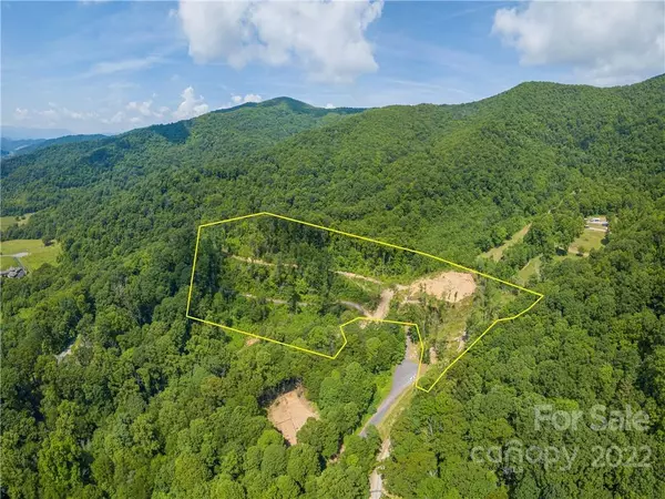 Clyde, NC 28721,00 Triple Creek DR #26,28,42