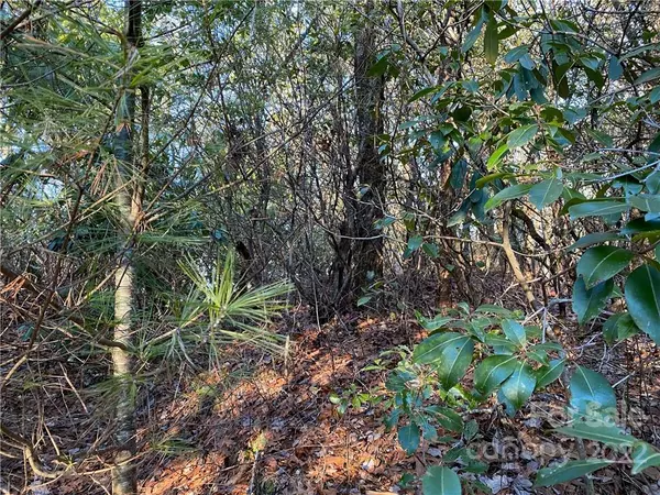 Lake Toxaway, NC 28747,TBD Golden RD