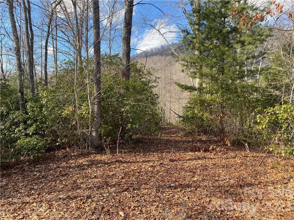 Sylva, NC 28779,0 Garnet RD #93