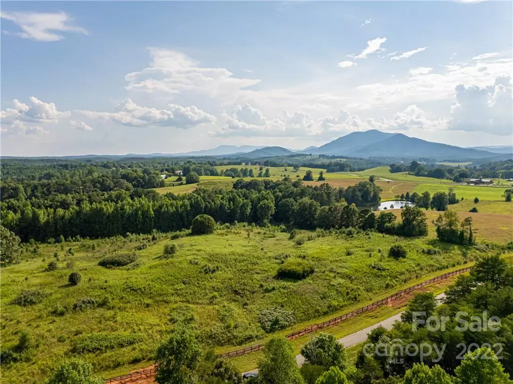 Mill Spring, NC 28756,LOT 4 High Meadows DR #4