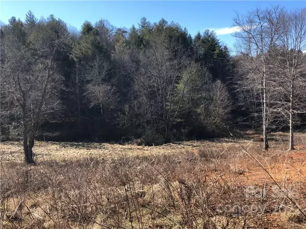 Marshall, NC 28753,99999 Burnette DR