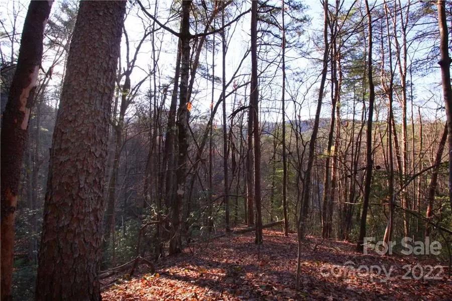 Lot 49 Round Mountain RD #49, Brevard, NC 28712