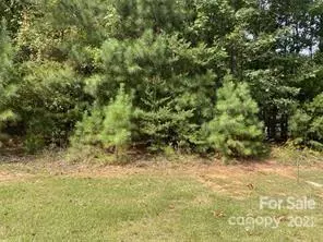 Denver, NC 28037,00 Rustling Woods DR