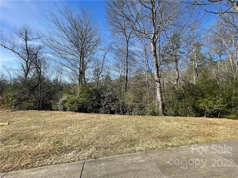 SH11 Springhouse TRL, Brevard, NC 28712