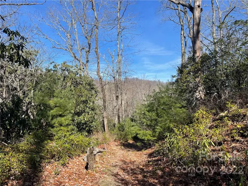 0000 Laurel Thicket LN #100, Brevard, NC 28712